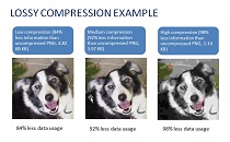 Lossy compression visual effects for images on a web page.